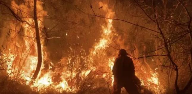明火已撲滅，初步判斷由祭祀用火引發(fā)！今年已發(fā)生多起