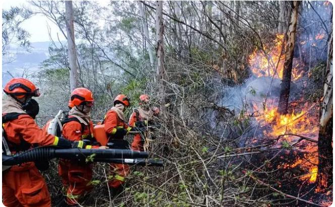 云南玉溪森林發(fā)生明火,現(xiàn)已經(jīng)撲滅
