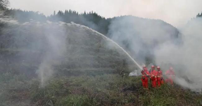 金洞管理區(qū)|筑牢森林防火網 ,守護青山保平安