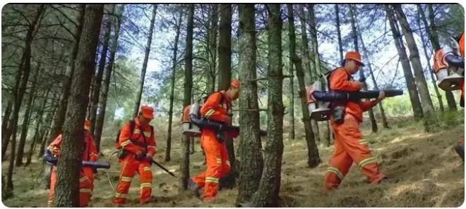 全市森林草原防火期結束，嵩明持續(xù)筑牢森林&ldquo;防火墻&rdquo;